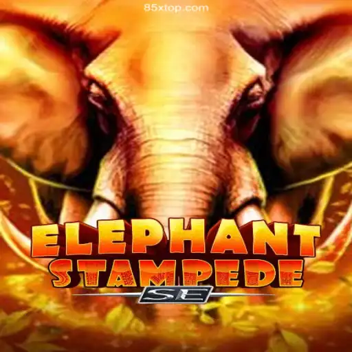 85X.COM⭐️ A Melhor Plataforma de Apostas no Brasil Slot Machine